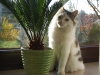 DSCF5459-1024x768